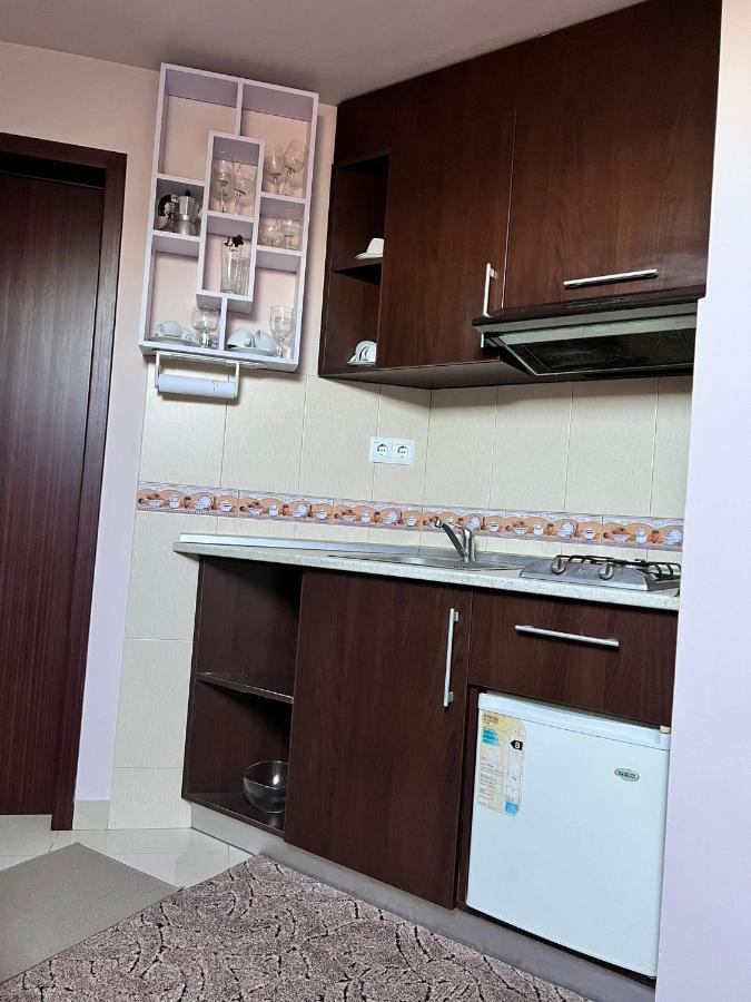 Garsoniera Daniela Apartment Călimăneşti Exterior foto